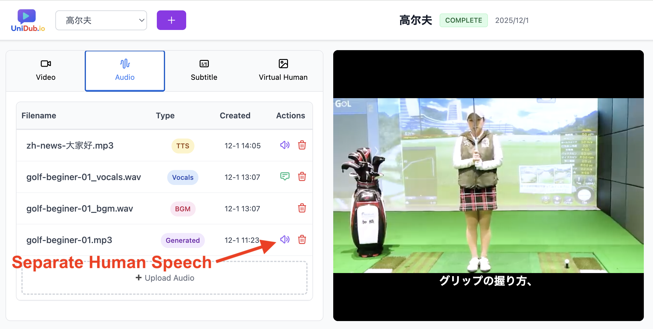 Human Speech Separation